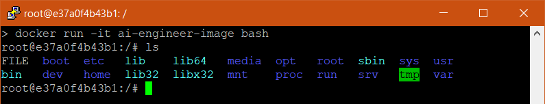 docker-run-it-ai-engineer-image-bash