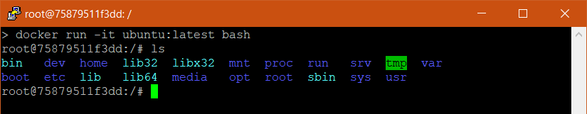 docker-run-it-ubuntu-bash-2